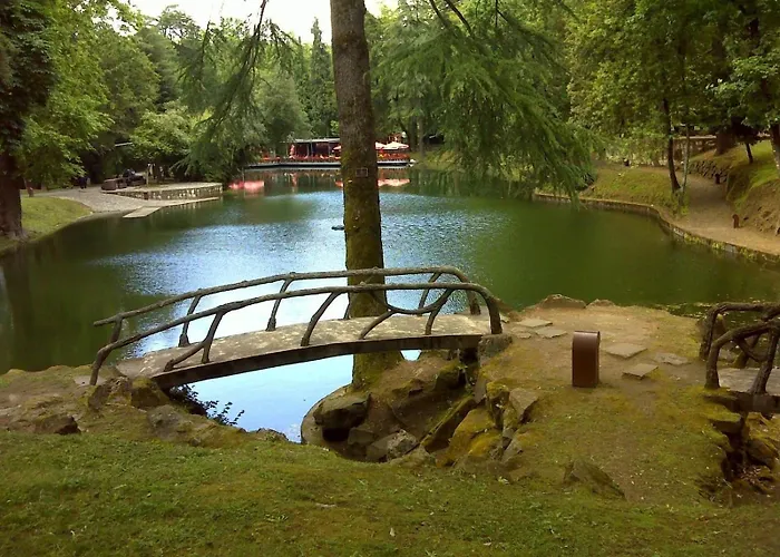 Dom מלון בראגה